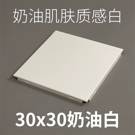aluminum ceiling panel